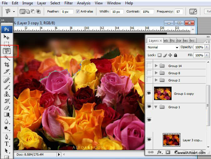 Awesome digital Roses bouquet splash effect in Photoshop